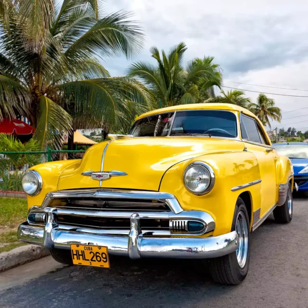 tapete auto2